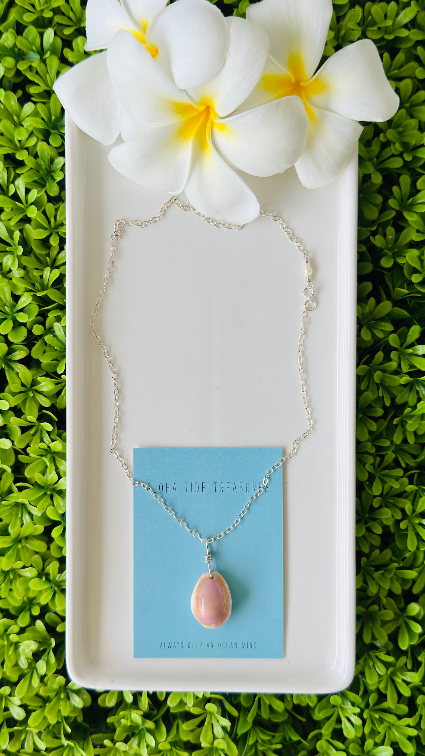 Sterling Silver Cowrie Shell Necklace 17” - Michelle