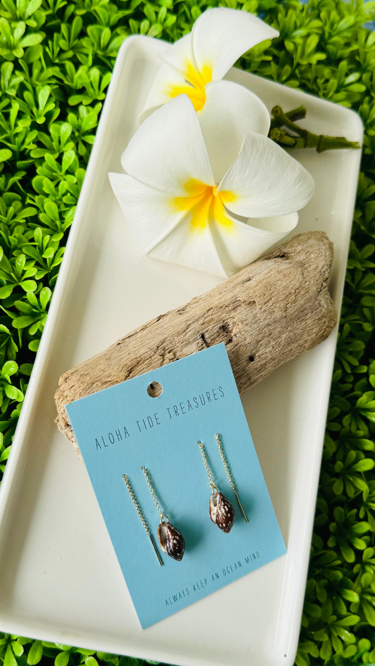 14K GF Shell Threader Earrings