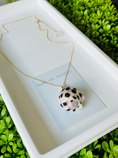 14K GF Drupe Shell Necklace 20” - Jennifer