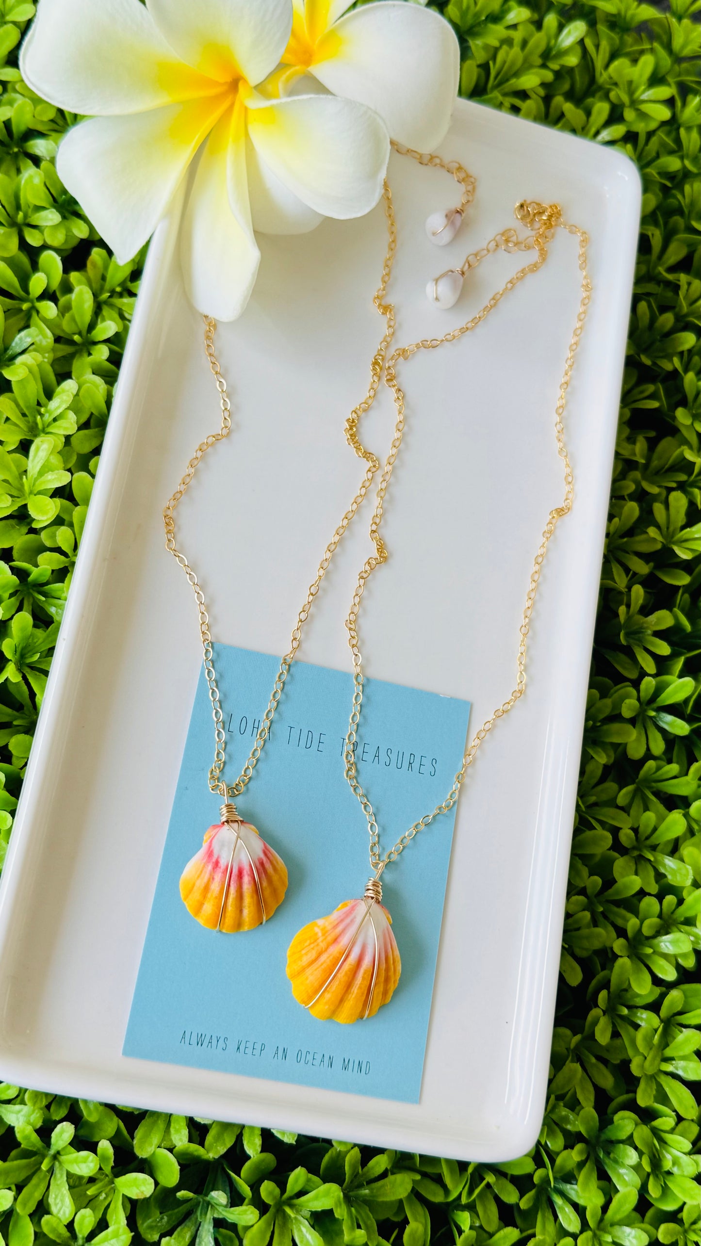 14K GF Sunrise Shell Necklaces - Hope
