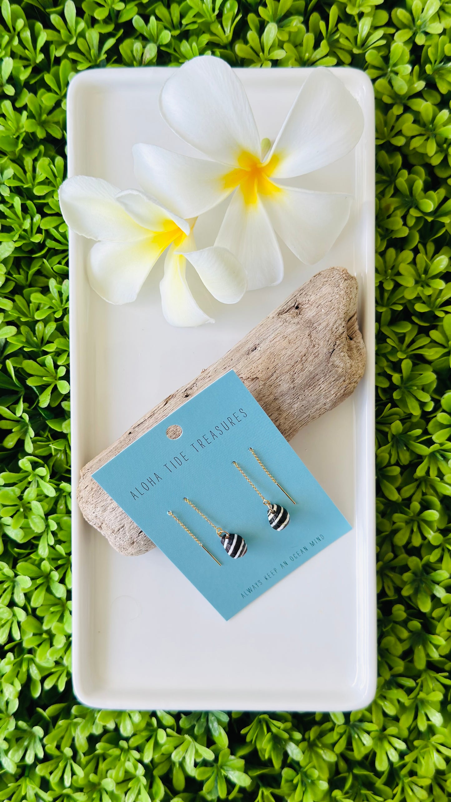 14K GF Zebra Threader Earrings