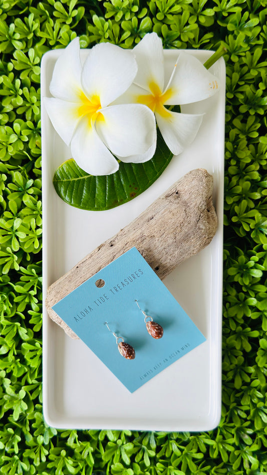 Sterling Silver Brown Cone Shell Earrings
