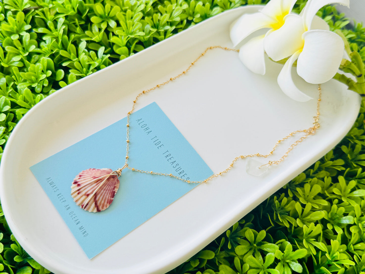 14K GF Carolina Calico Shell Necklace - 16”