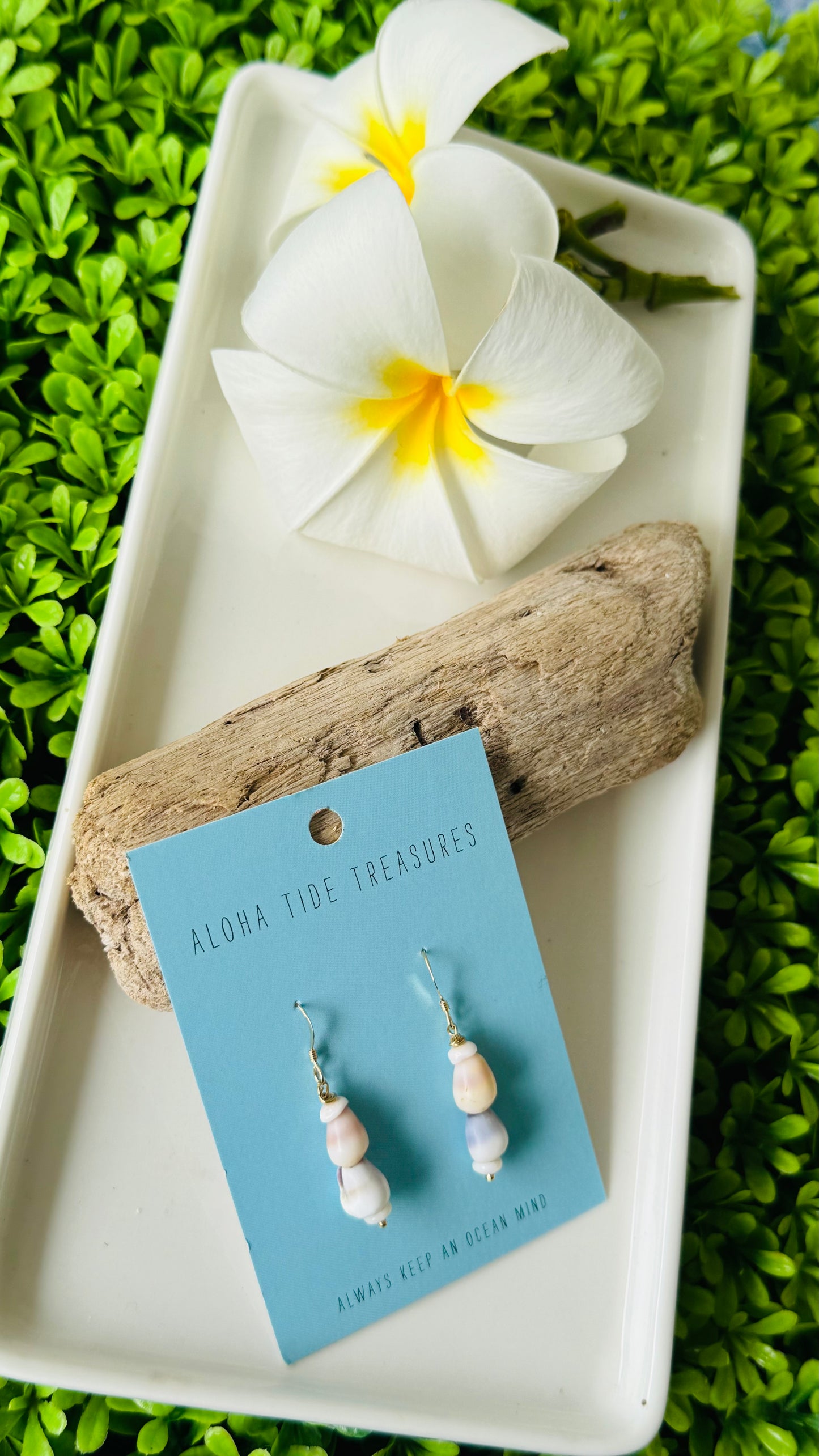 14K GF Stacked Cone Shell Earrings