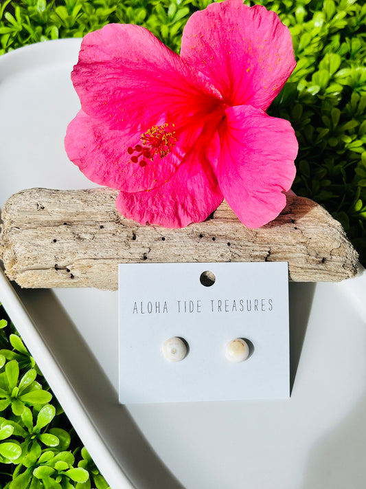 Sterling Silver Puka Shell Earring Studs