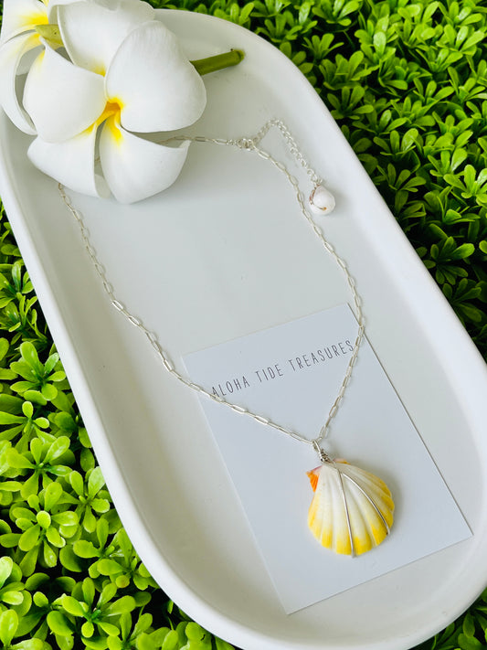 Sterling Silver Albino Sunrise Shell Necklace 14” - Francis