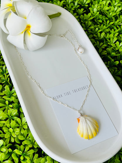 Sterling Silver Albino Sunrise Shell Necklace 14” - Francis