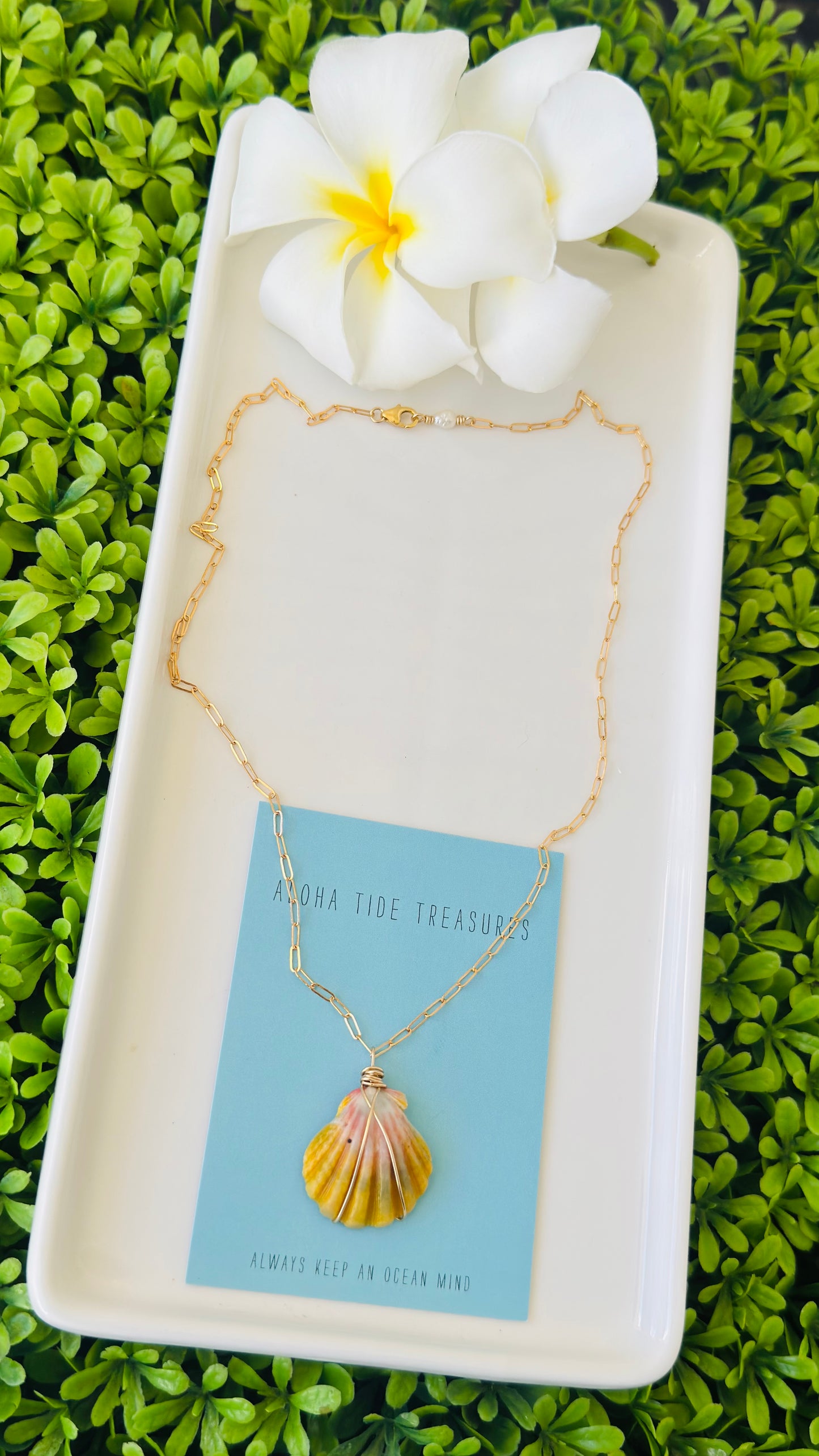 14K GF Sunrise Shell Necklace 18” - Robin