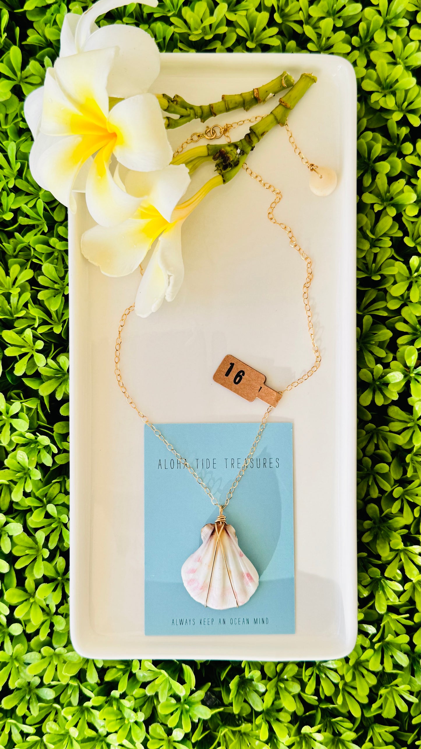 14K GF Scallop Shell Necklace 16”