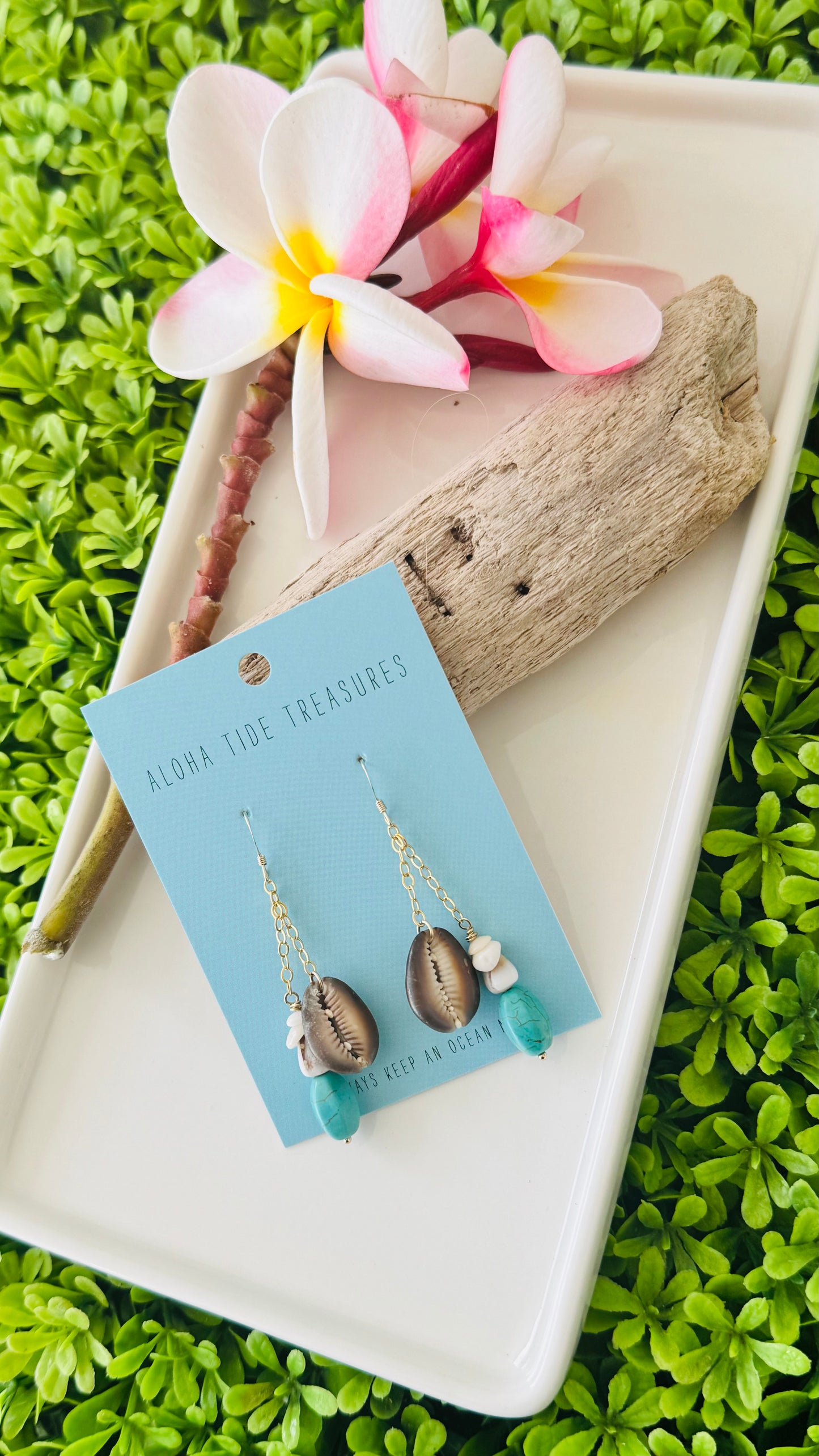 14K GF Puka/Cowrie Dangle Earrings