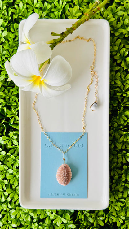 14K GF Cowrie Shell Necklace 16”