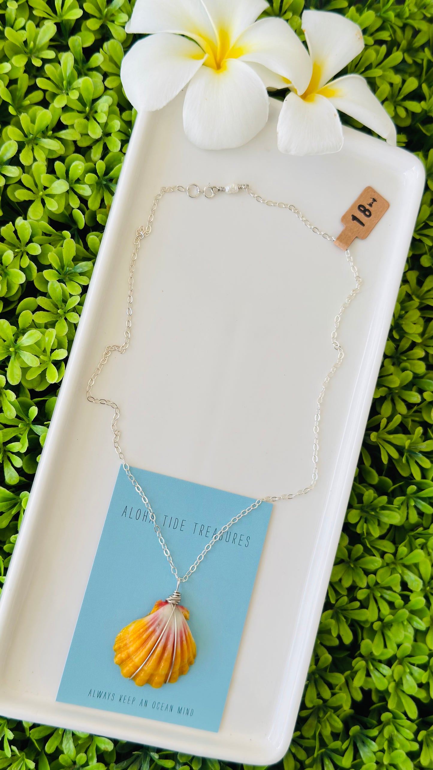 Sterling Silver Sunrise Shell Necklace 18”