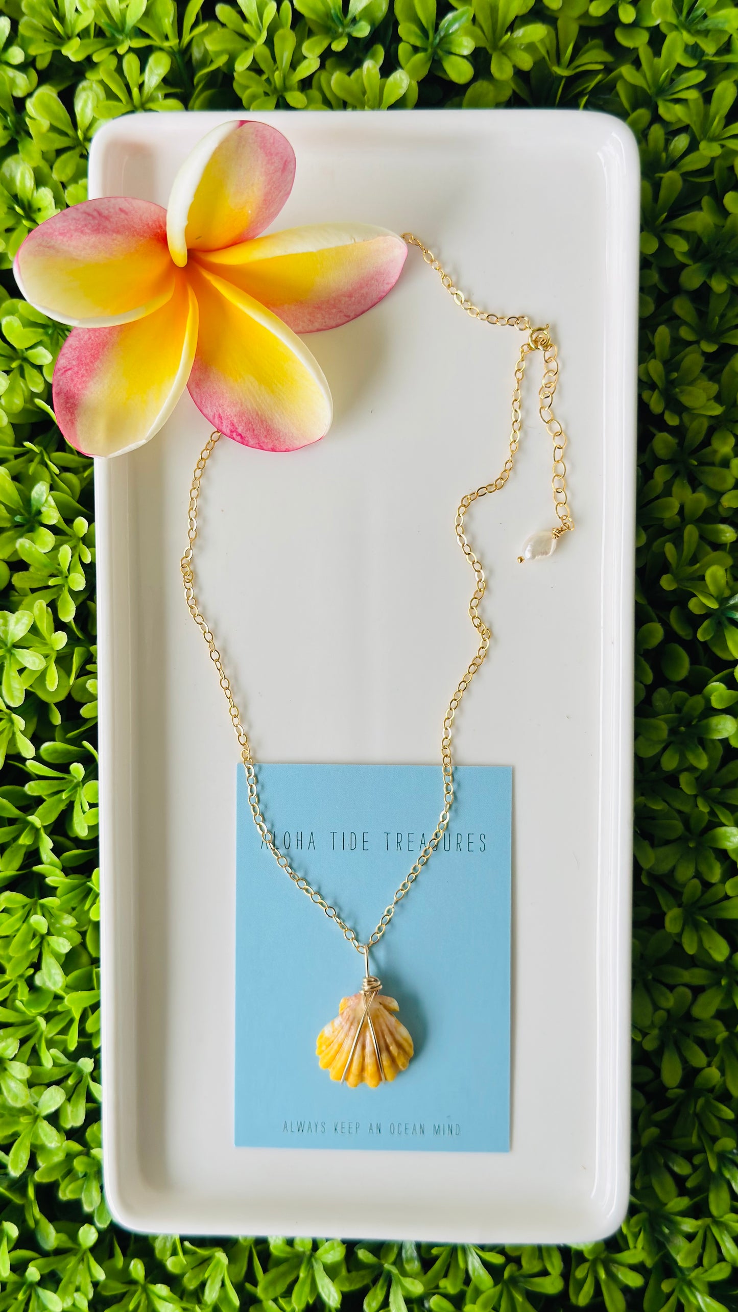 14K GF Sunrise Shell Necklace 16”