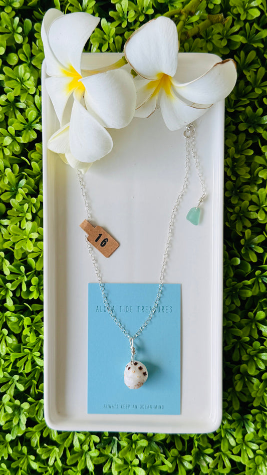 Sterling Silver Drupe Shell Necklace 16”