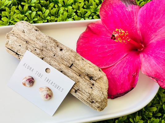 Sterling Silver Pink Barnacle Shell Earring Studs