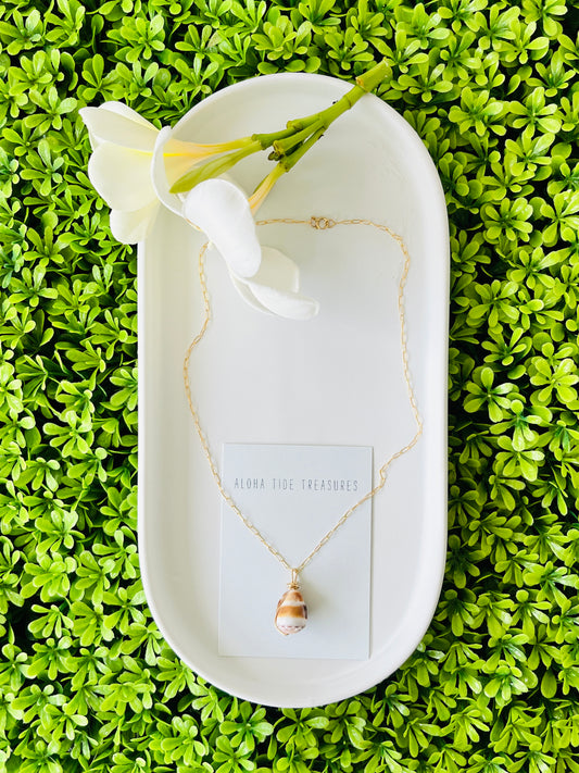 14K GF Hebrew Shell Necklace 16”