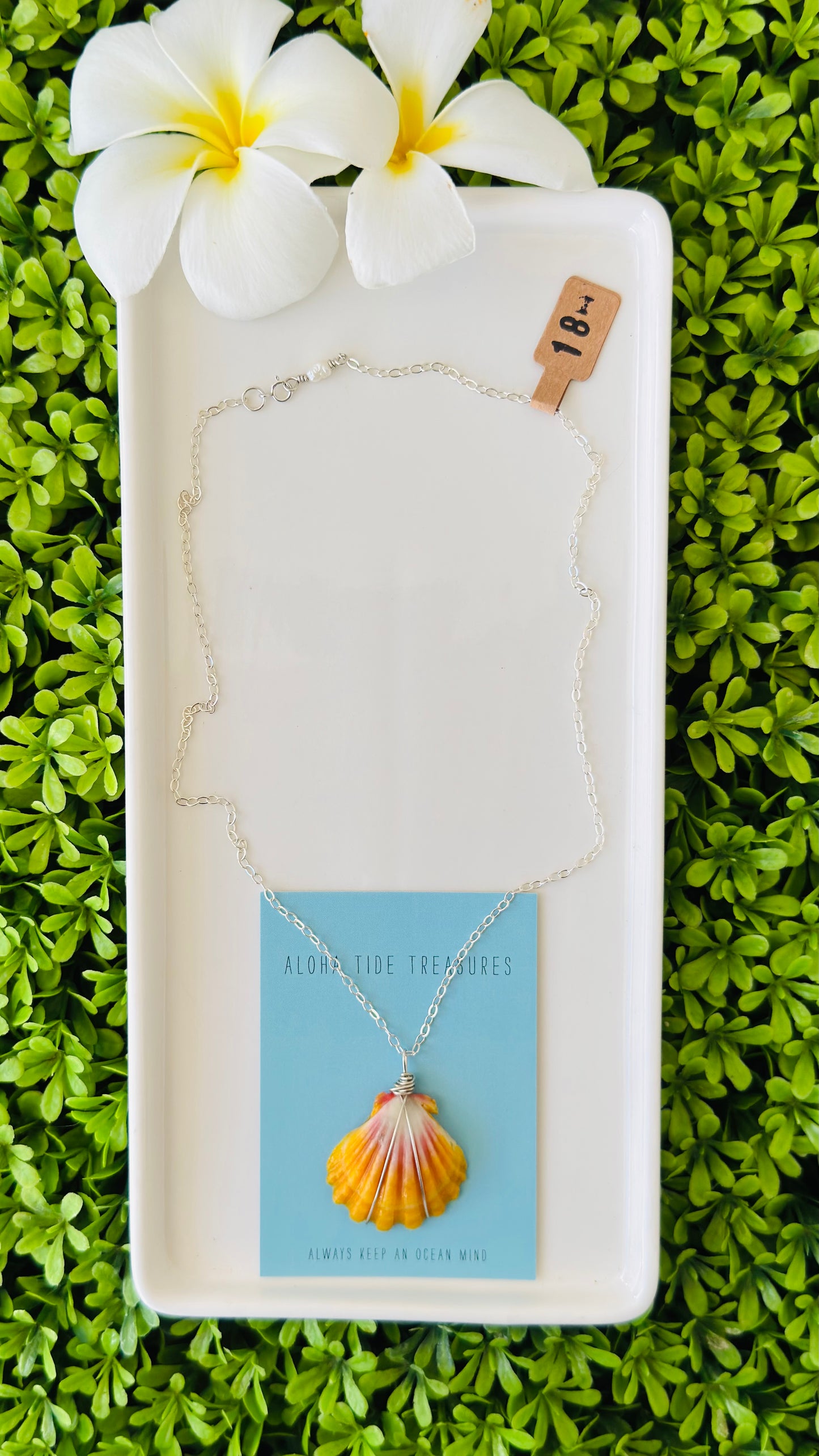 Sterling Silver Sunrise Shell Necklace 18”