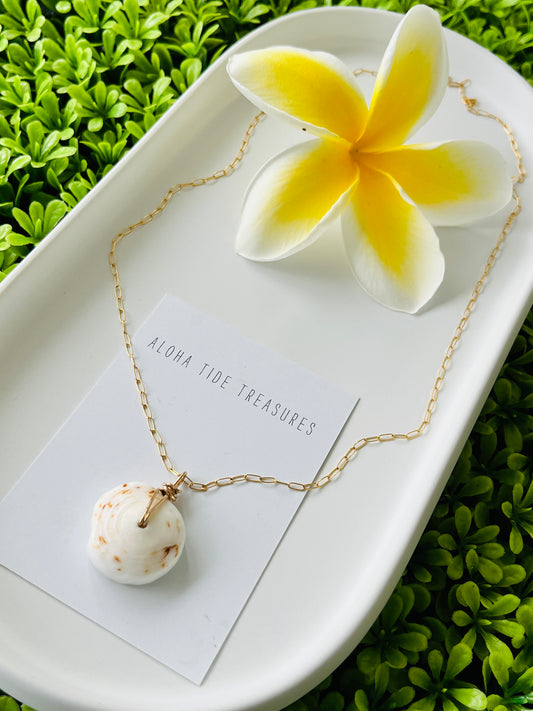 14K GF Puka Shell Necklace 20”