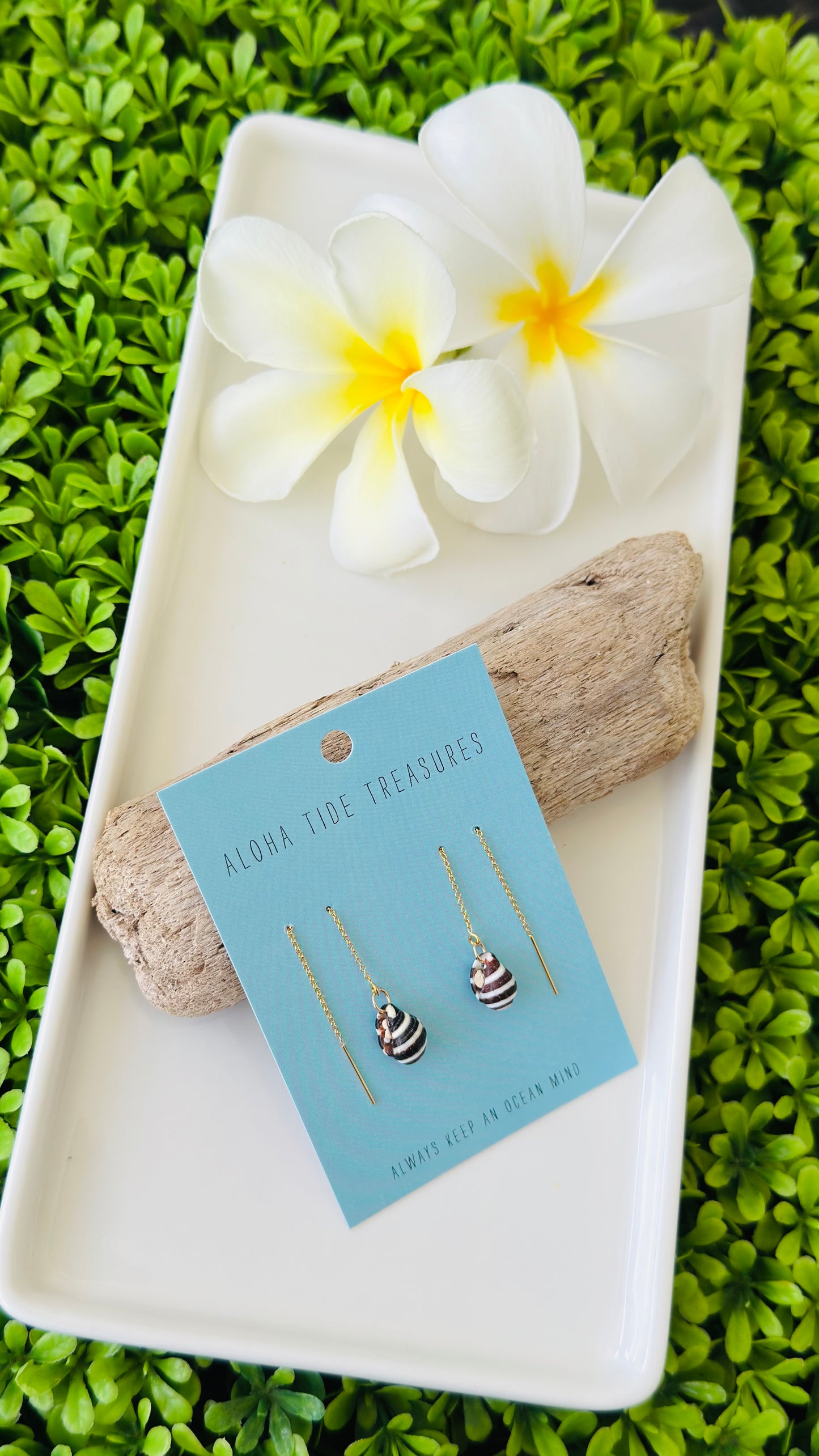 14K GF Zebra Threader Earrings