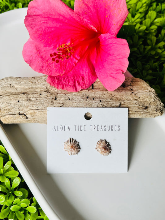 Sterling Silver ‘Opihi Shell Earring Studs