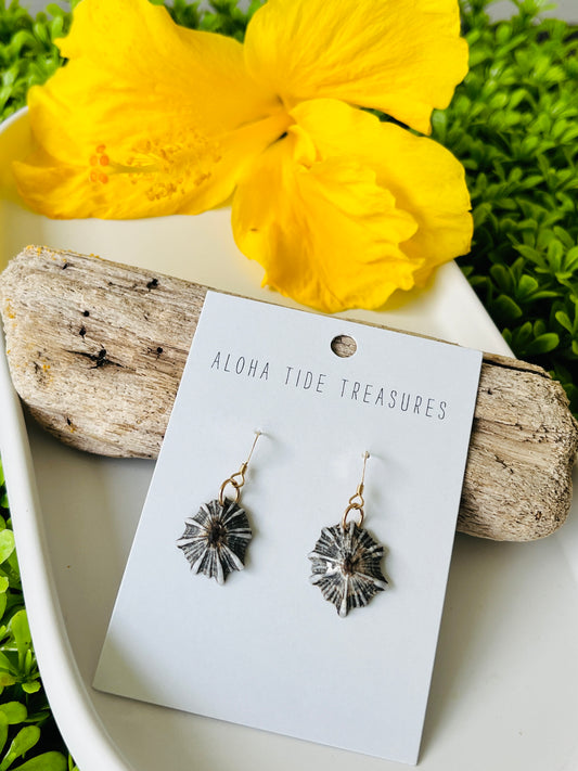 14K GF ‘Opihi Earrings