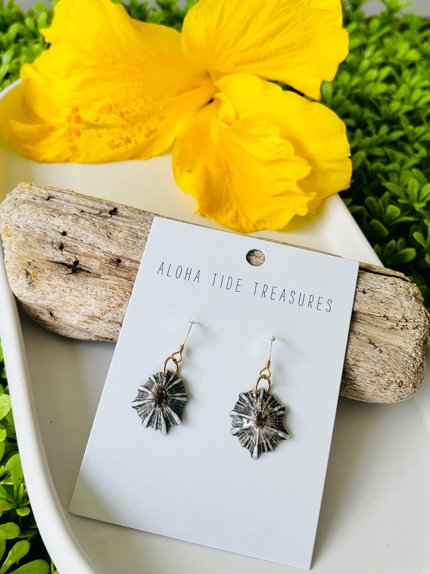 14K GF ‘Opihi Earrings
