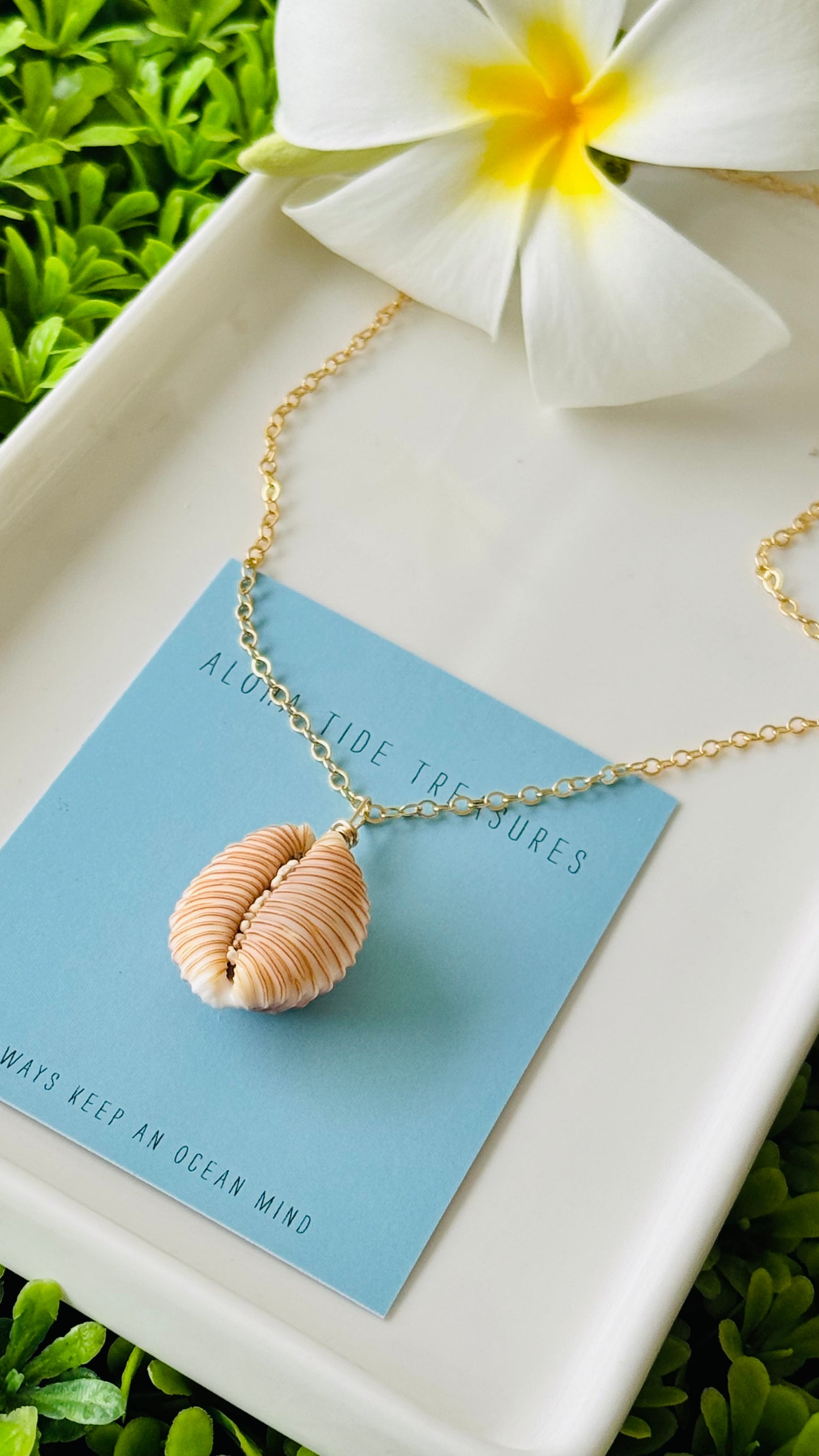 14K GF Cowrie Shell Necklace 16”
