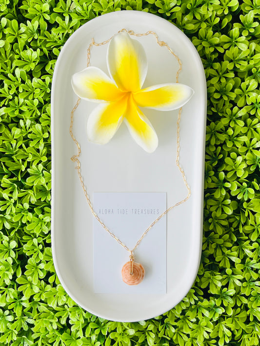 14K GF Puka Necklace 18”