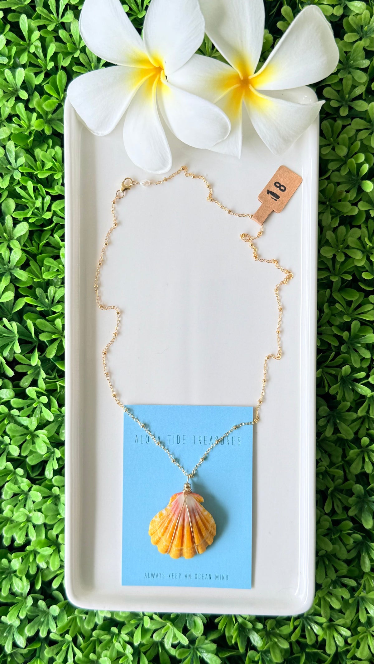 14K GF Sunrise Shell Necklace 18”