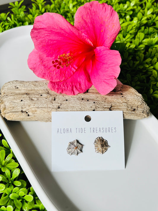 Sterling Silver ‘Opihi Shell Earring Studs