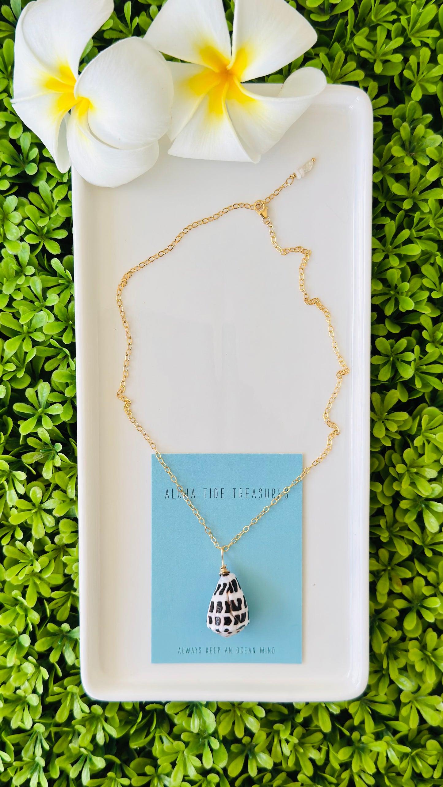 14K GF Hebrew Shell Necklace 16”