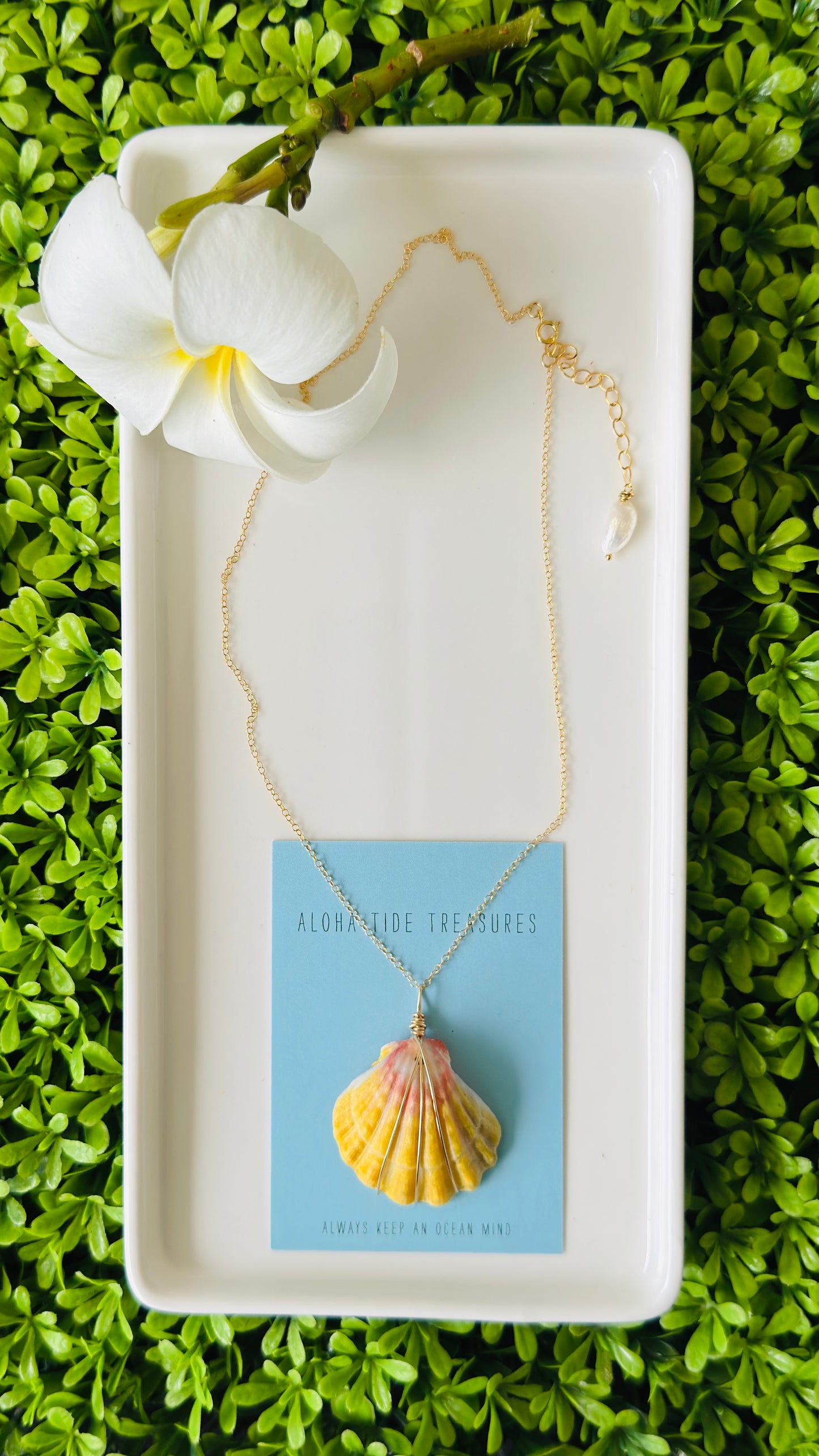 14K GF Sunrise Shell Necklace 16” - Jessica