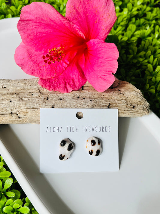 Sterling Silver Cone Shell Earring Studs
