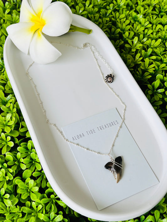 Sterling Silver Shark Tooth Necklace 16”