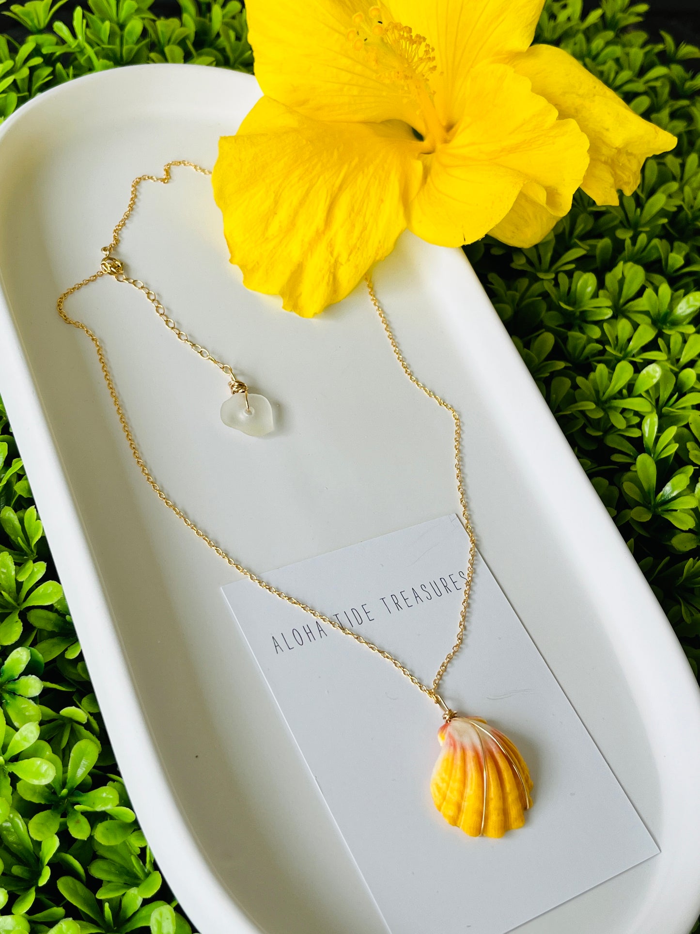 14K GF Sunrise Shell Necklace 16”