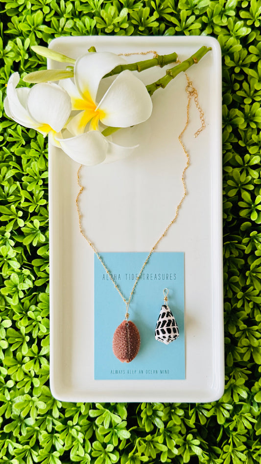 14K GF Cowrie Shell Necklace 16” - Julianne