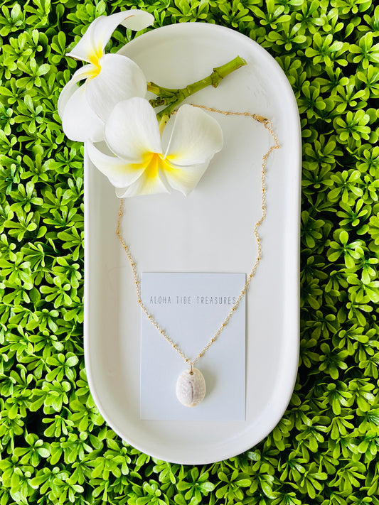 14K GF Cowrie Shell Necklace 16”