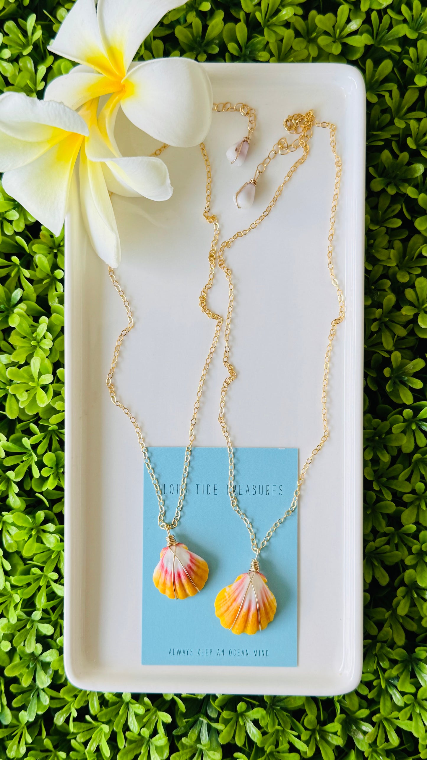 14K GF Sunrise Shell Necklaces - Hope