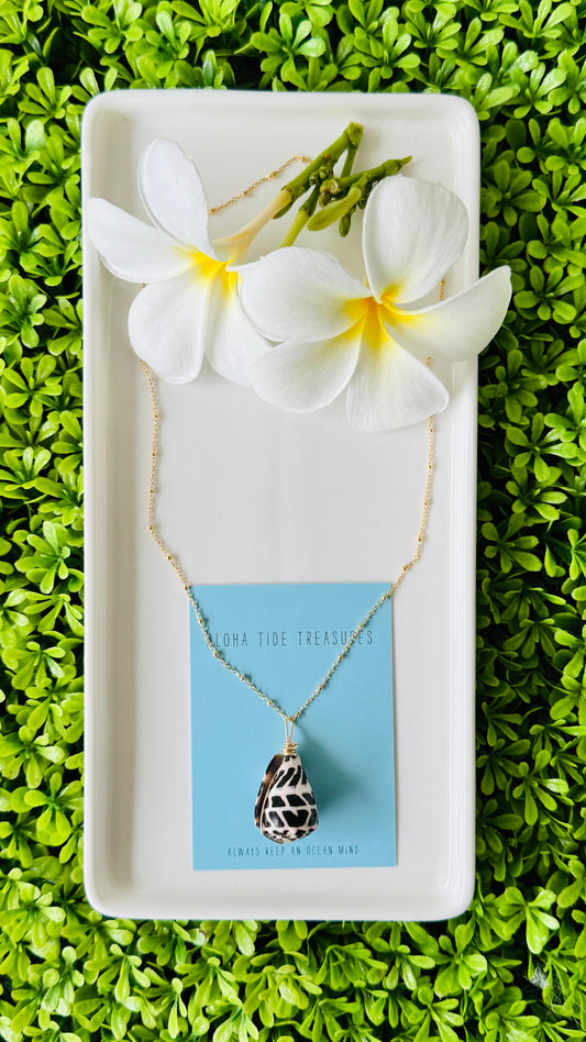 14K GF Hebrew Shell Necklace 18” - Stephanie
