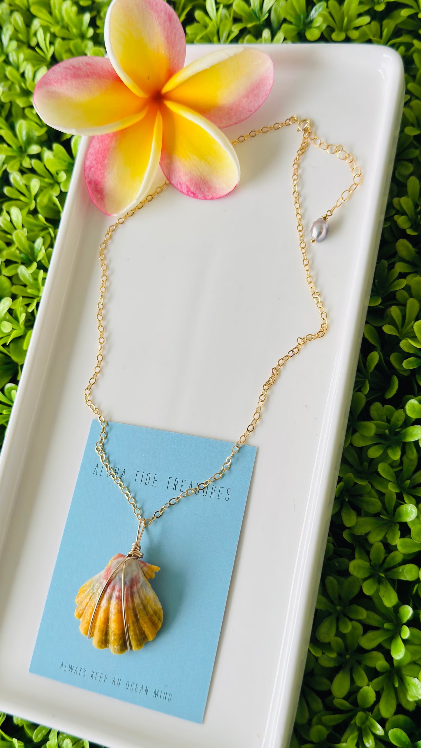14K GF Sunrise Shell Necklace 16”