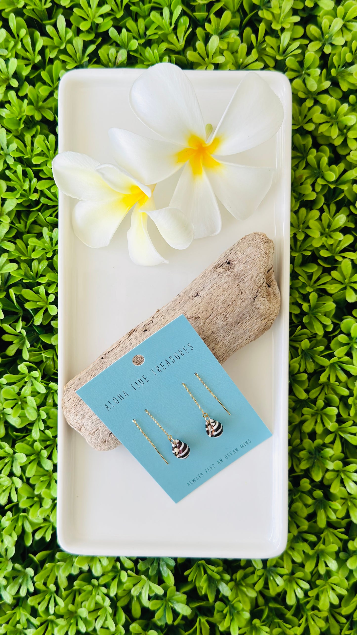 14K GF Zebra Threader Earrings
