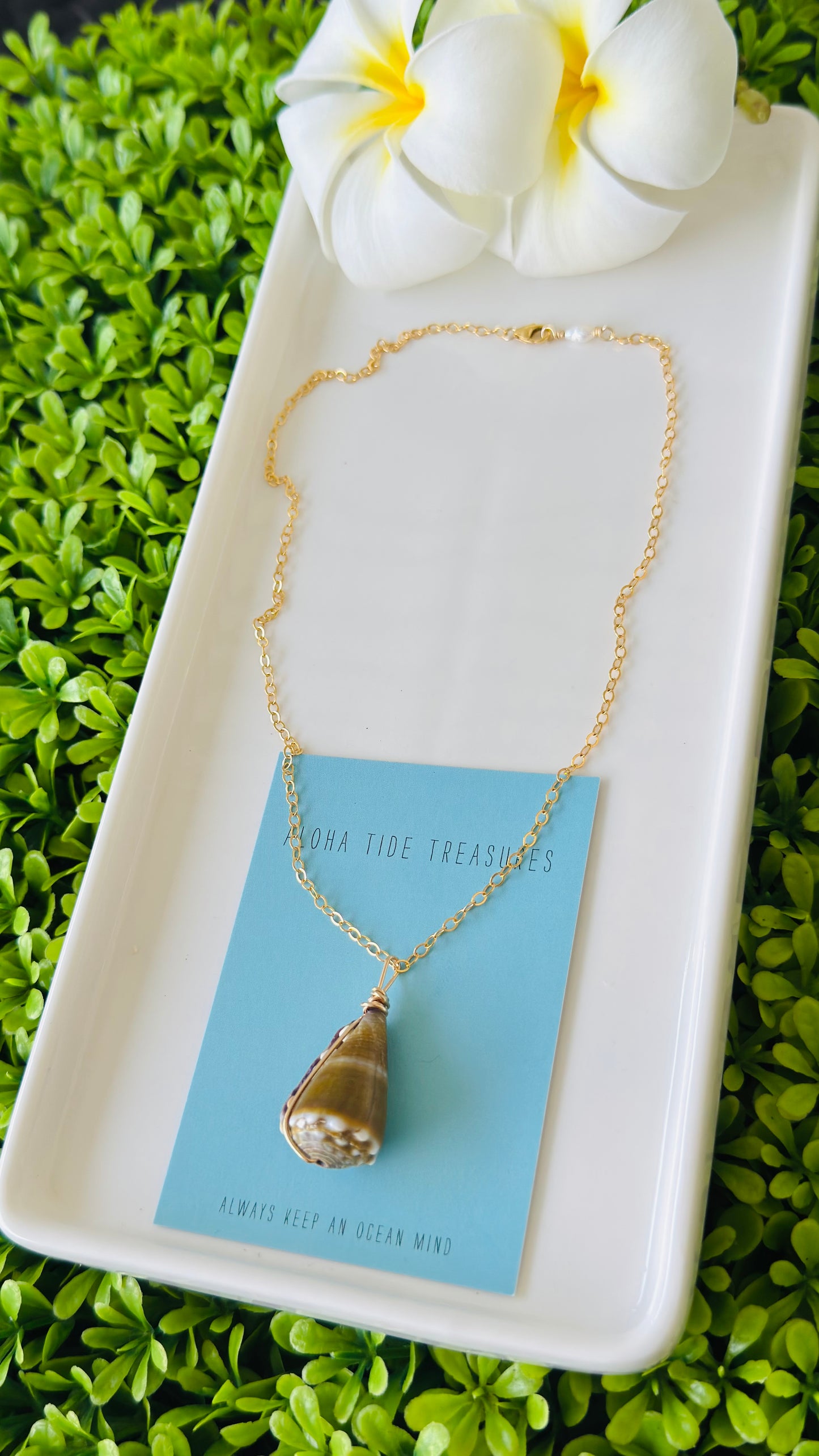 14K GF Cone Shell Necklace 16”