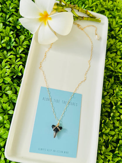 14K GF Shark Tooth Necklace 16” - Karla