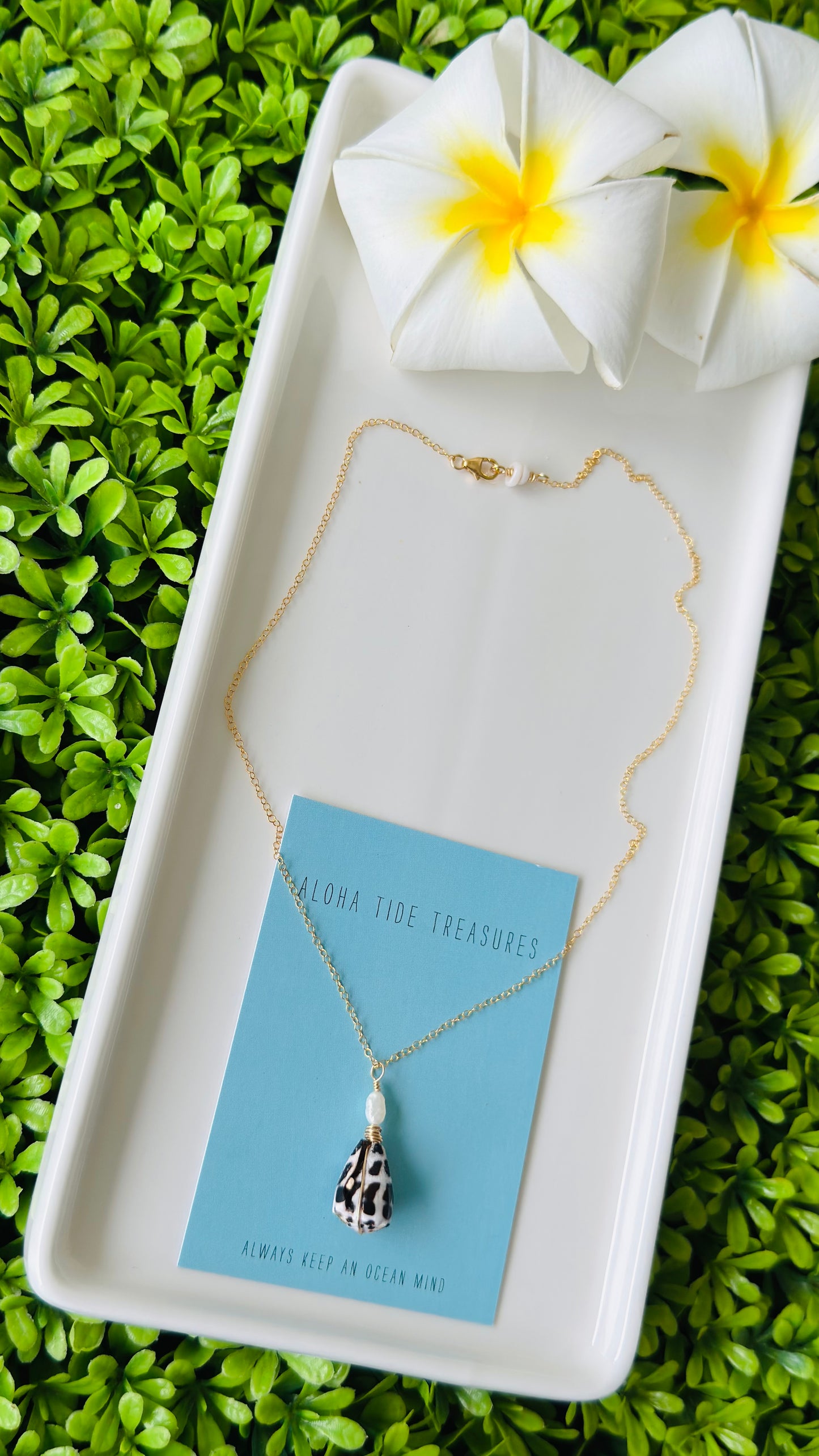 14K GF Hebrew Shell Necklace 16”