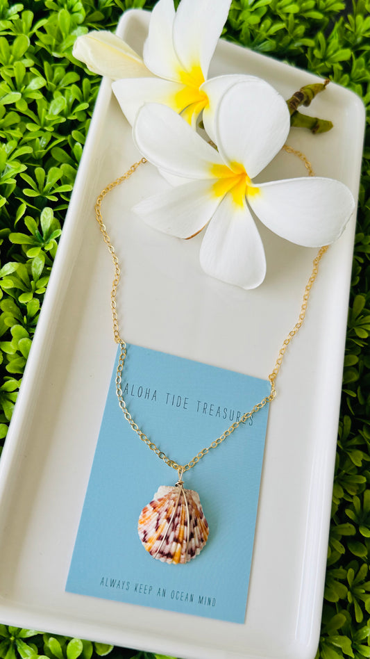14K GF Scallop Shell Necklace 16”