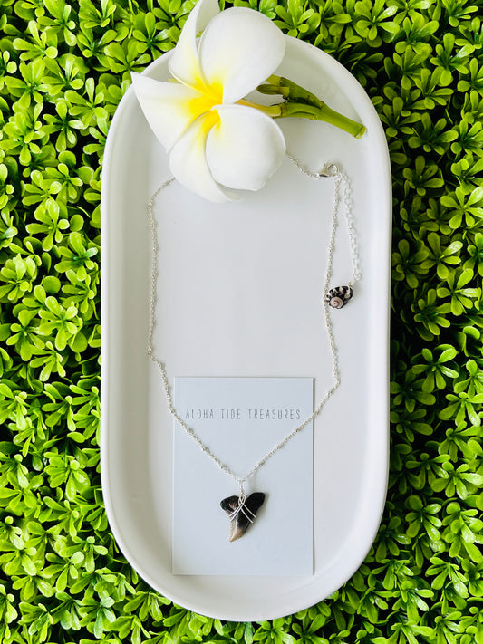 Sterling Silver Shark Tooth Necklace 16”
