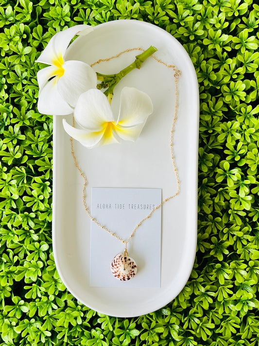 14K GF Puka Necklace 16”