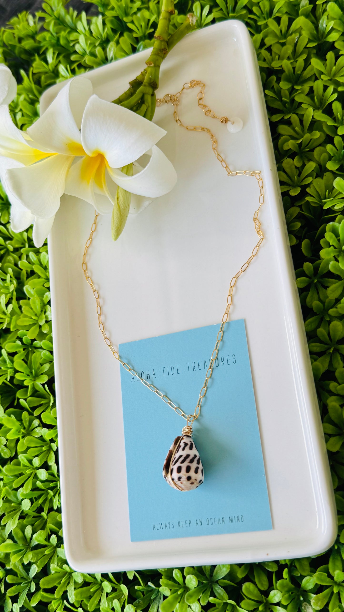 14K GF Hebrew Shell Necklace 18” - Ryan