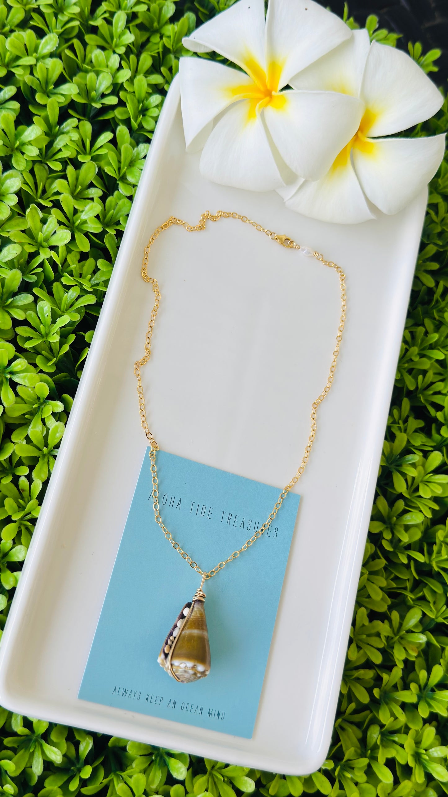 14K GF Cone Shell Necklace 16”