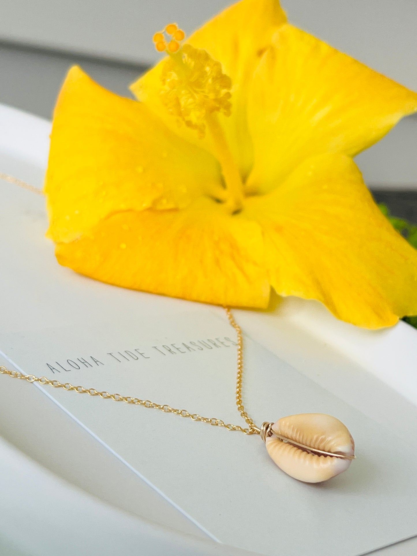 14K GF Cowrie Shell Riptide Necklace 16” - Ashley